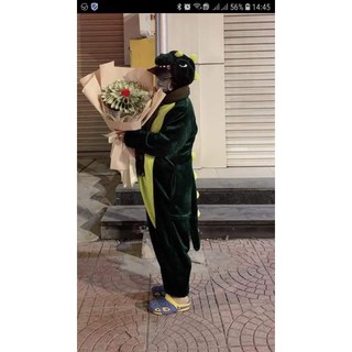 Bộ quần áo khủng long ( chọn màu ib)