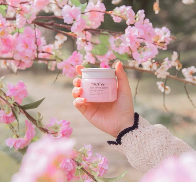 KEM DƯỠNG INNISFREE JEJU CHERRY BLOSSOM TONE UP/ JELLY CREAM