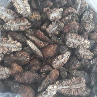 1kg trái nhàu khô