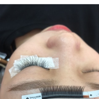 mi chữ y hót hít