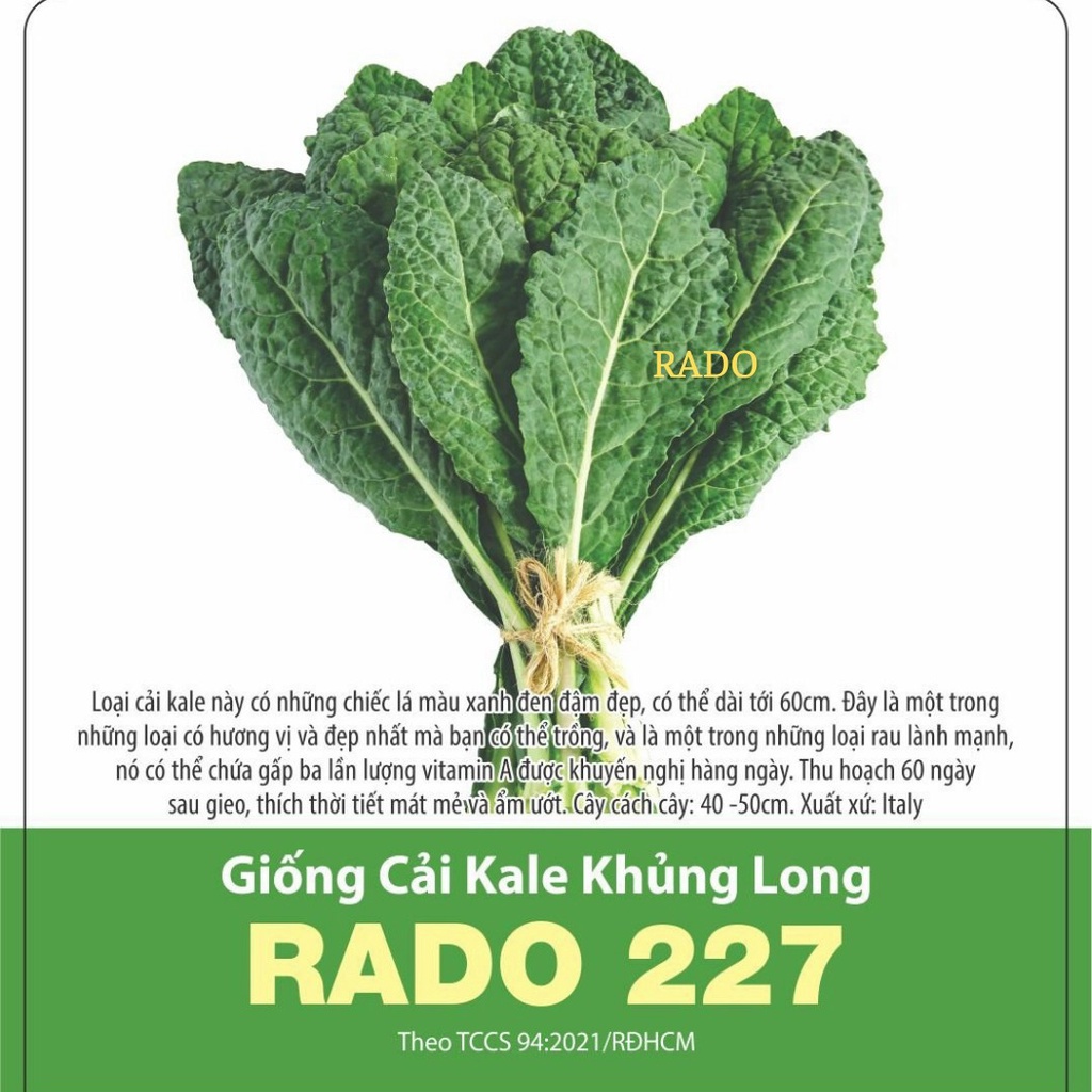 Hạt giống cải Kale khủng long, đóng gói 5gr