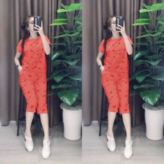 Sat bộ lửng hoa nhí