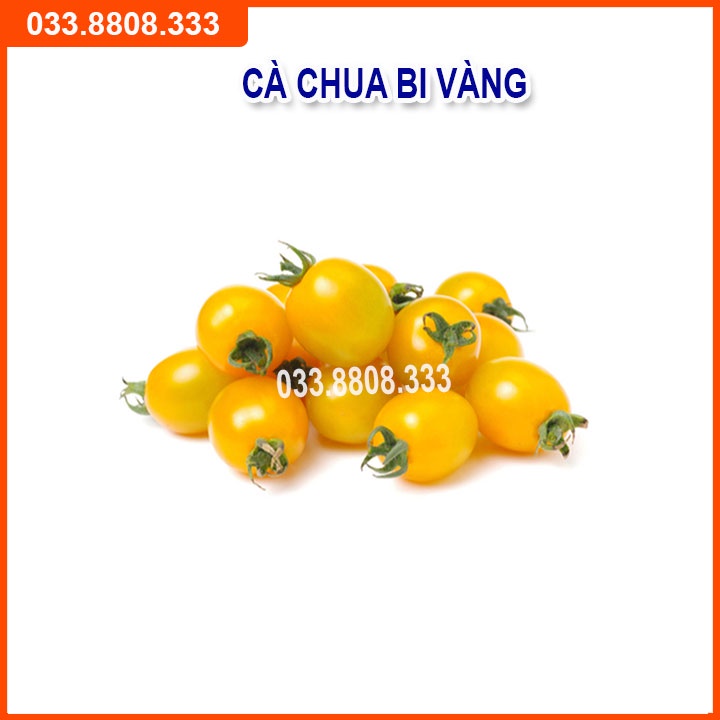 Bộ 4 Loại Hạt Giống Cà (  Cà Chua Bi Vàng - Cà Chua Bi Lùn - Cà Pháo Trắng - Cà Tím Quả Dài)