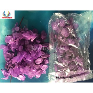 Hoa Cẩm Tú Cầu Khô Thật