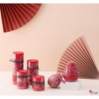 Nến Trụ Ctus Candle
