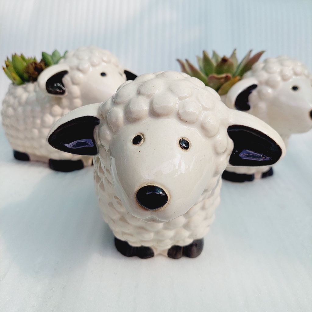 Chậu men, Chậu sen đá - Chú cừu mĩm cười, miệng chậu (dọc 10cm, ngang 9cm), chiều cao 11cm và 17cm