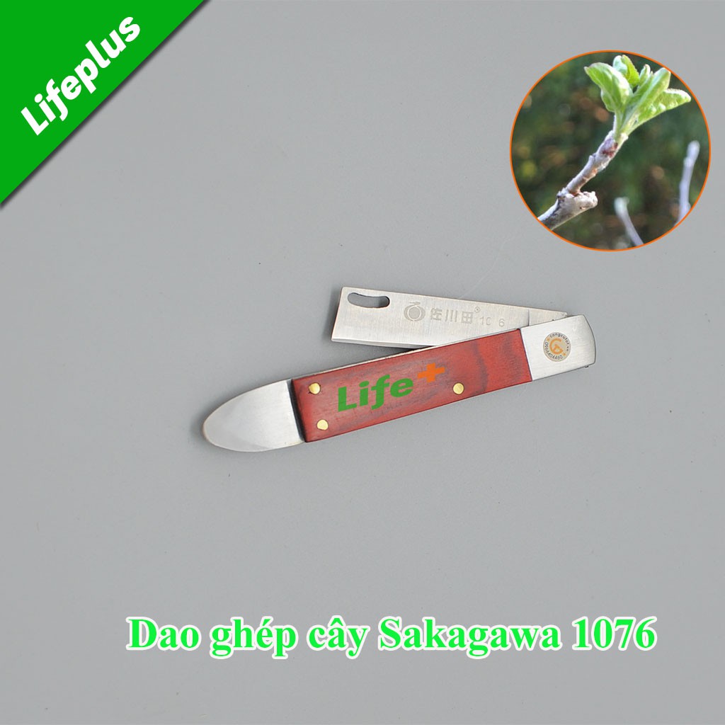 Dụng cụ ghép cây Sakagawa 1076