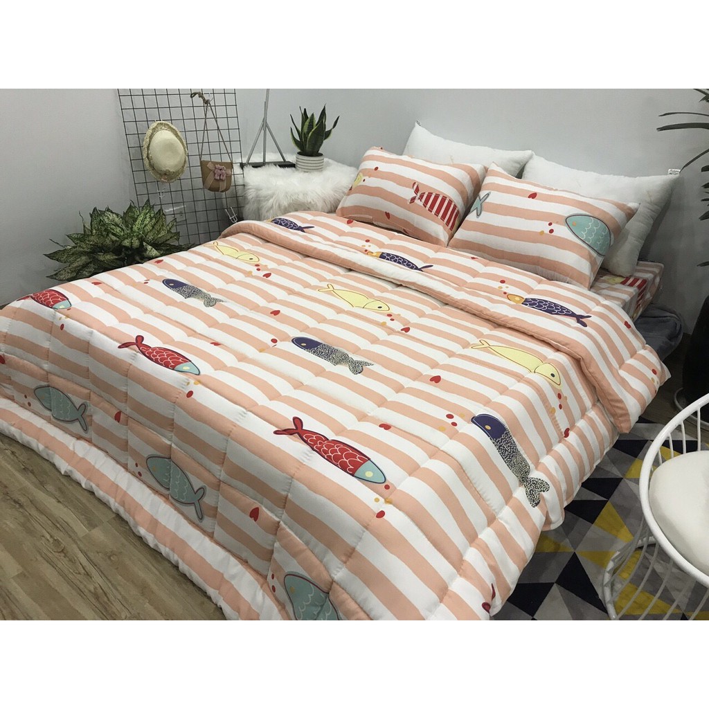 Bộ_chăn_ga_gối_cotton_Demi_100%_cotton