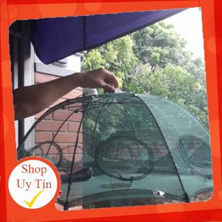 Lồng bát quái cao cấp loại đẹp