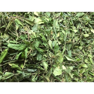 1kg DÂY THÌA CANH khắc tinh của bệnh tiểu đường, mỡ máu.