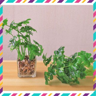 Cây Trang Trí- Cỏ Bốn Lá May Mắn  - Hoa giả giá sỉ tốt nhất thị trường