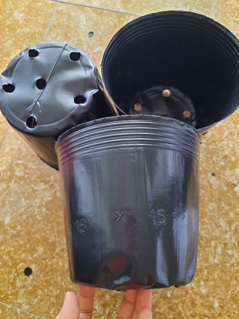 1kg chậu ươm cây chọn size