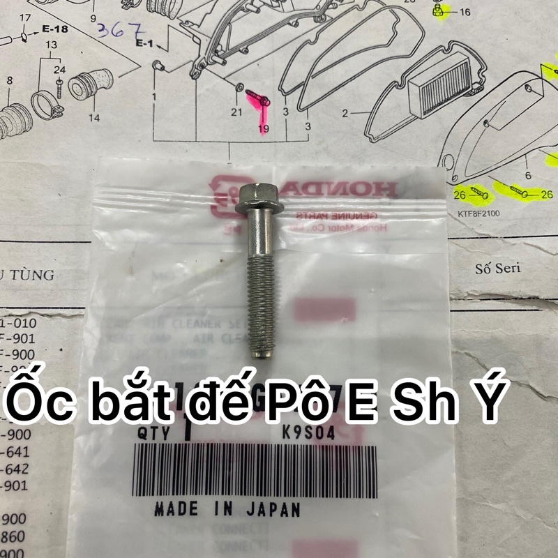 Ốc bắt đế pô e Sh ý , Dylan , Ps