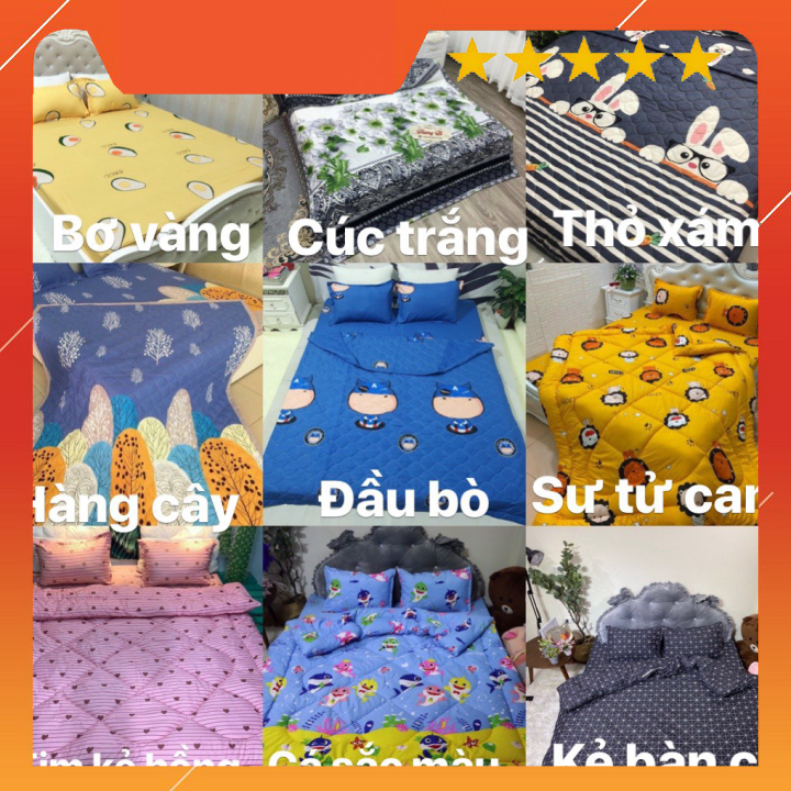 Bộ 1 Ga chun và 2 vỏ gối Cotton poly, chat chọn mẫu. | BigBuy360 - bigbuy360.vn