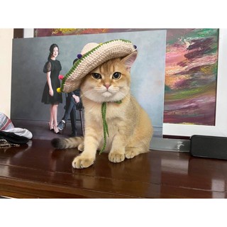 Mũ Len Cao Bồi Cho Thú Cưng ❤️