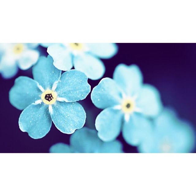 Hàng tiêu dùng Online