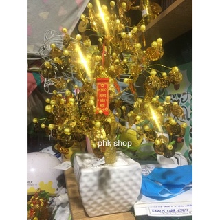 Cây kim tiền,cành vàng lá ngọc lá chữ Phước kèm led chậu sứ 40cm phk shop