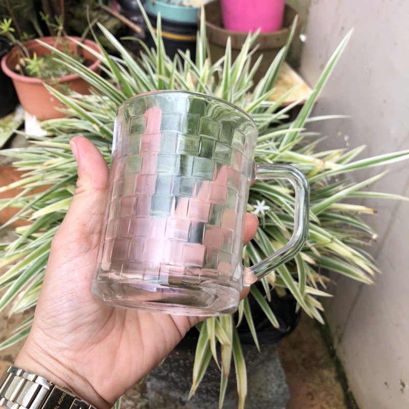 Ly thủy tinh caphe lùn có quai cầm 260ml