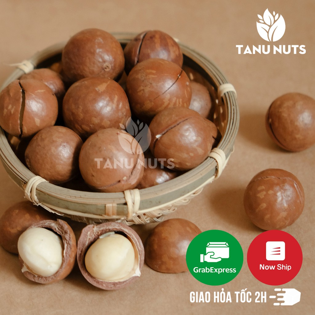 Hạt Macca TANU 500gr sấy nứt vỏ - Hạt mắc ca sạch, tiêu chuẩn xuất khẩu | BigBuy360 - bigbuy360.vn