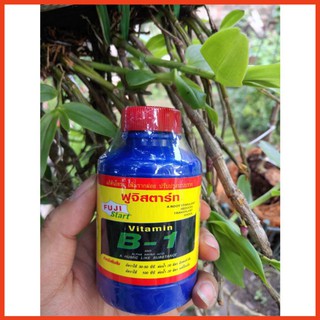 Phân Bón Lá Vitamin B1 Xanh Thái Lan 100ml, Kích Rễ, Chống Sốc Cho Cây vtt