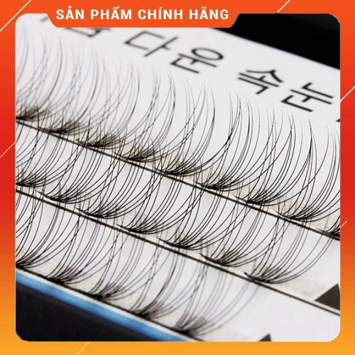 [SALE SỐC] Lông mi giả chùm tơ Hàn Quốc siêu cong, mi giả chùm tự nối độ dày 0.07, độ dài 8-13mm