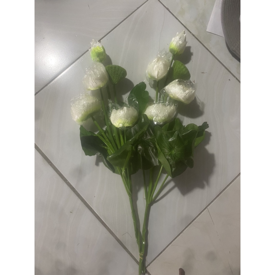 combo hoa sen lụa - hoa sen trang trí