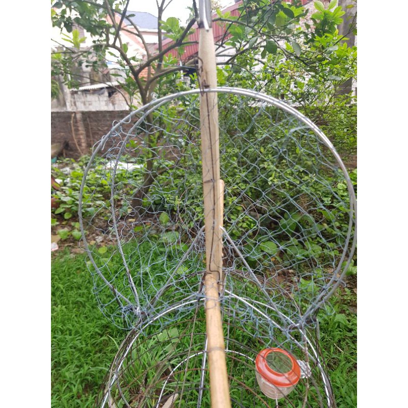 Lồng bẫy chim chào mào