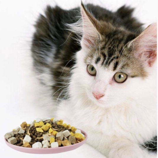 Thức ăn hạt mix thịt đông khô cho mèo -túi chiết 1kg