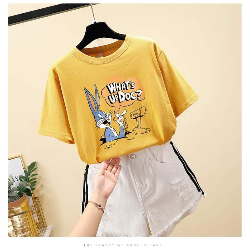 Áo phông thỏ siêu rẻ