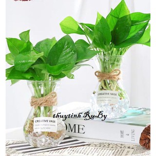 Lọ cắm hoa, lọ trồng cây thủy canh miệng loe cao 14cm