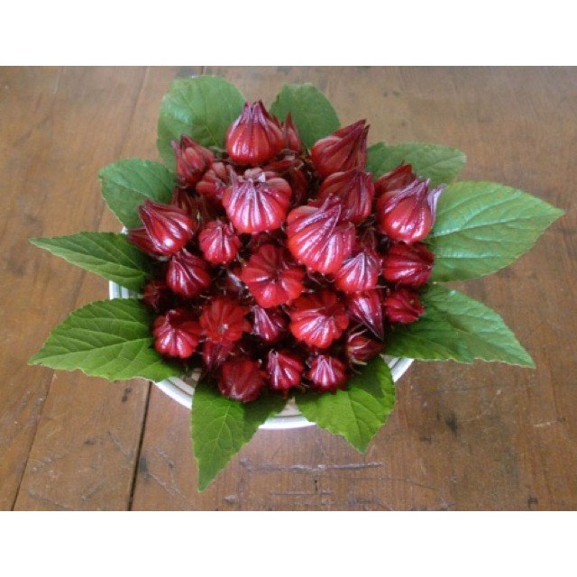 Trà Hoa Atiso Đỏ (Hibiscus) Nguyên Bông Loại Xuất Khẩu 100g