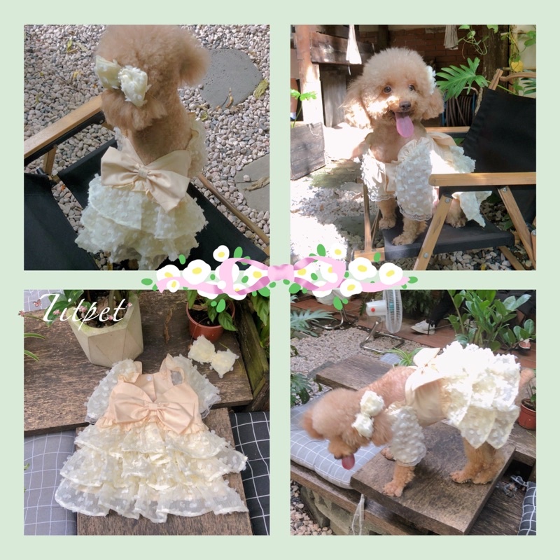 Váy công chúa, váy cô dâu chó mèo cao cấp