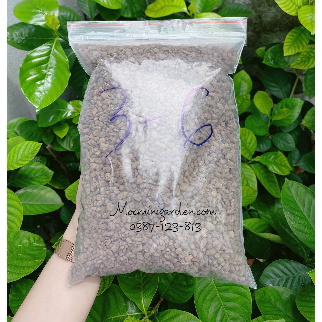 Đá Bọt Pumice Indonesia || Nhiều Kích Thước - Vật Tư Quan Trọng Trong Ngành Trồng Cây | Mocminigarden