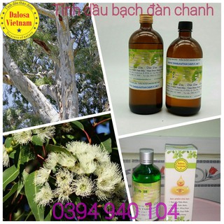 Tinh dầu Bạch Đàn Chanh nguyên chất 100ml