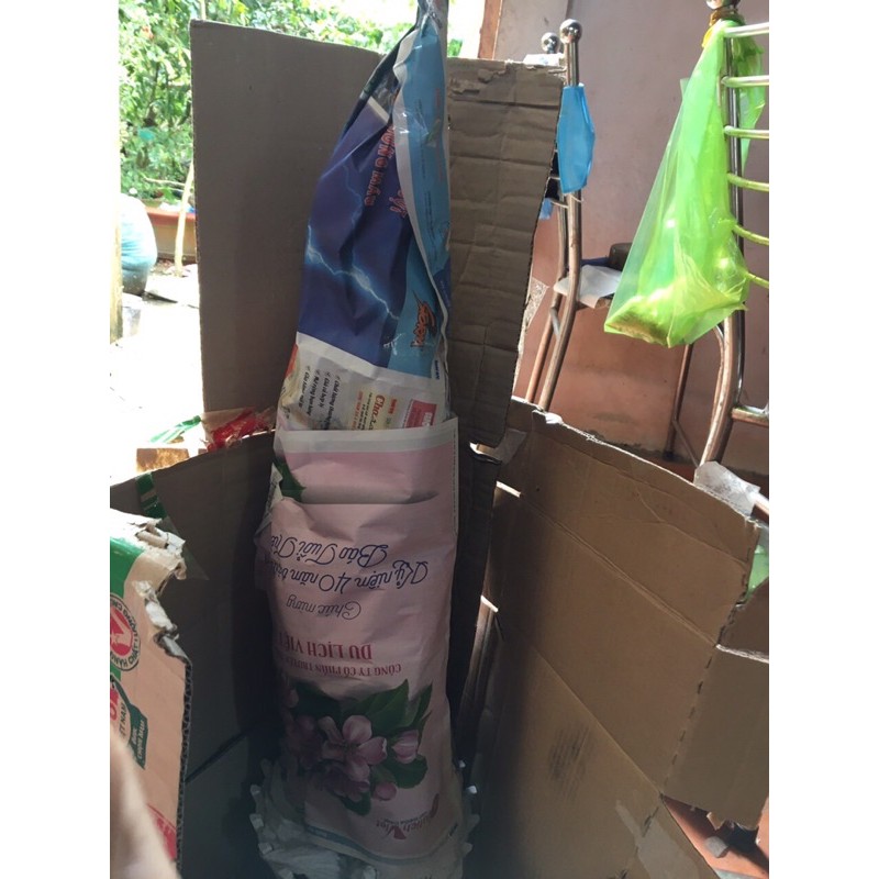 Combo ga nệm | BigBuy360 - bigbuy360.vn