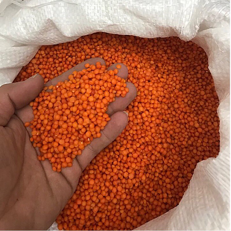 Đậu lăng đỏ nguyên hạt (Red lentils)