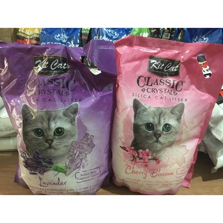 CÁT THỦY TINH KITCAT