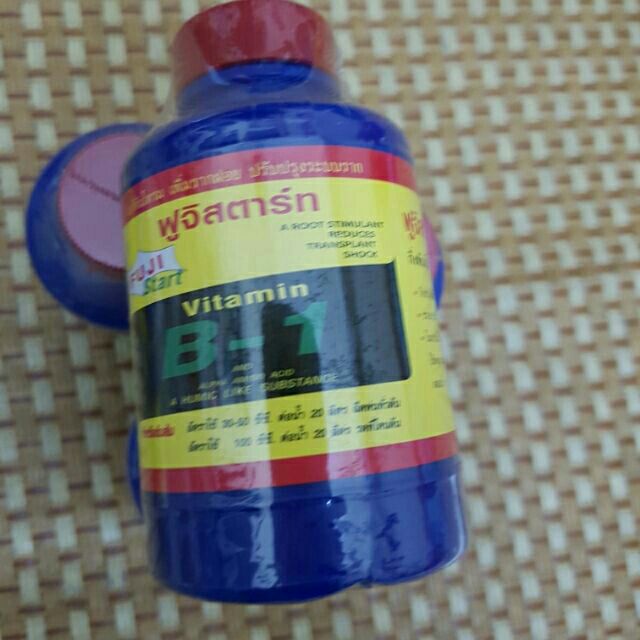 Vitamin B1 Thái Lan cho Lan