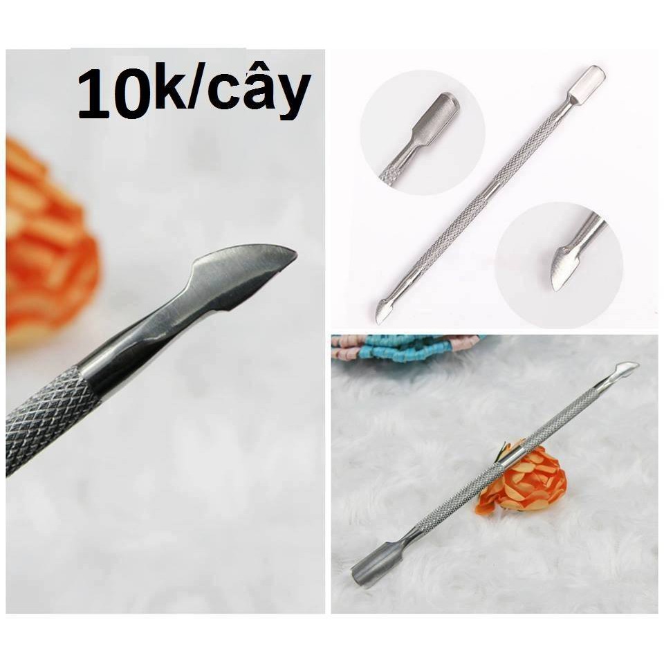 CÂY SỦI DA
