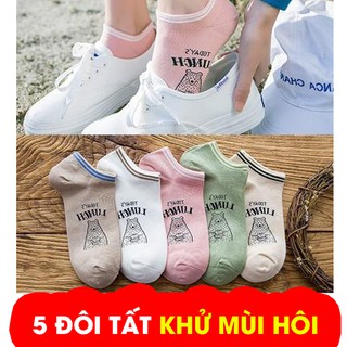 COMBO 5 ĐÔI TẤT CỔ NGẮN