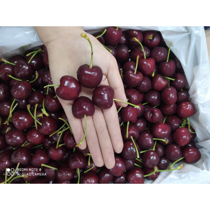 Cherry úc mới về sz 28-30