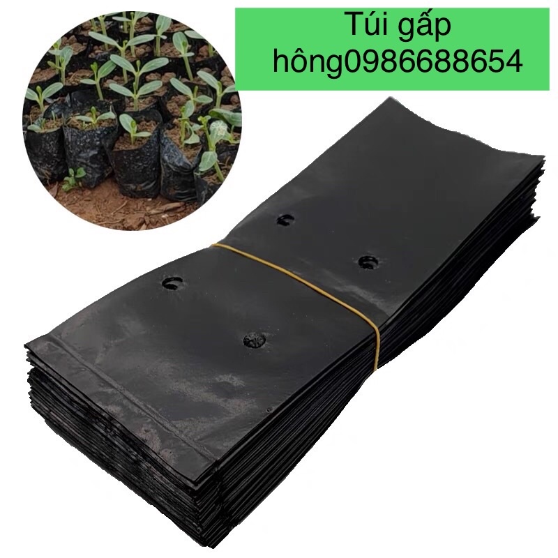 sét 1kg(700 cái) túi gấp hông mã 5*13( Hàng loại 1- chất lượng dai bóng-chịu nắng tốt)