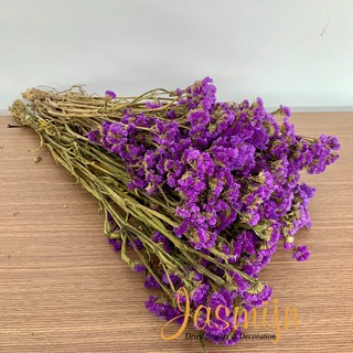 Hoa Salem khô ⭐ Hoa khô Salem ⭐ Hoa salem khô trang trí ⭐