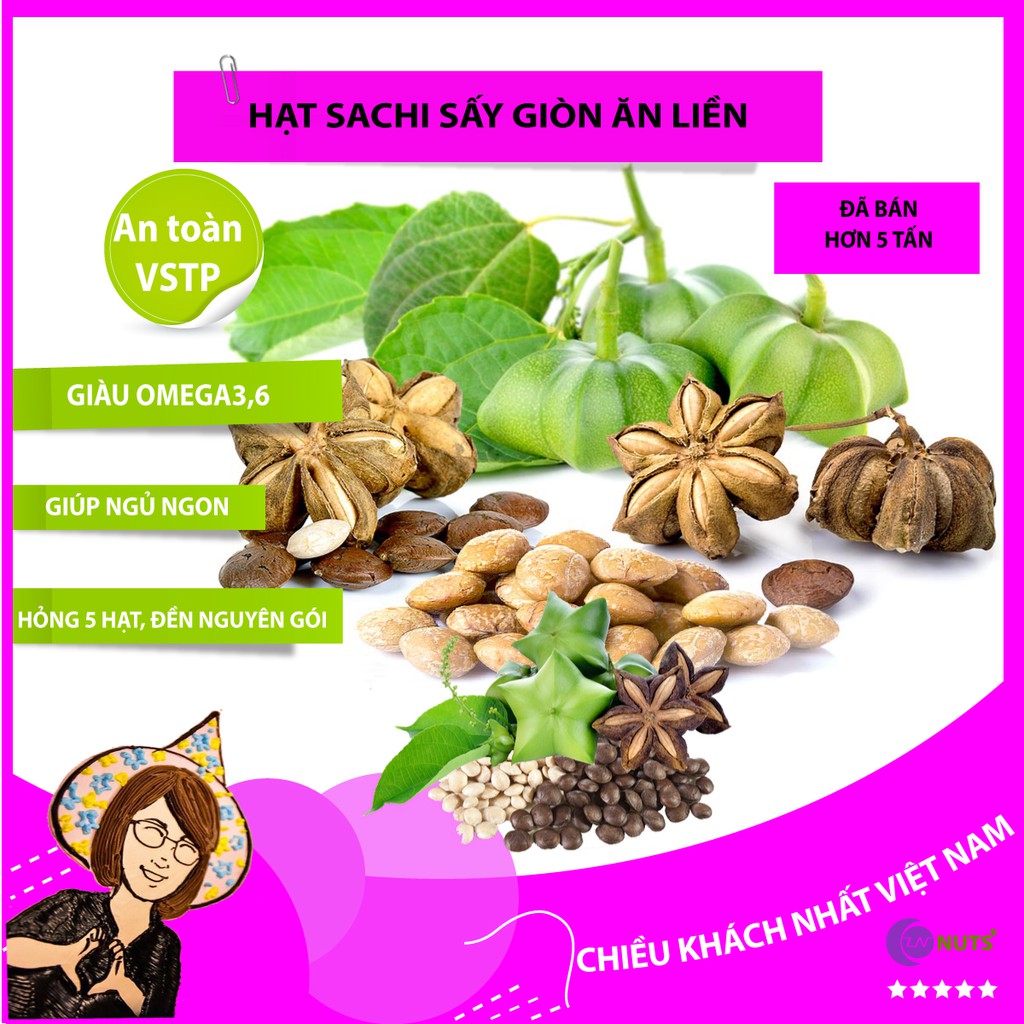 [Mã GROSALE2703 giảm 8% đơn 250K] Hạt sachi 500g Lê Nguyệt Nuts, Sachi Đắc Lắc thơm, giòn, bùi, giàu omega3, VSATTP