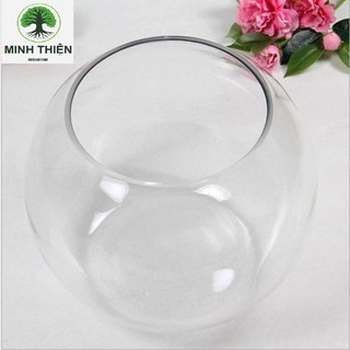 Chậu thủy tinh, bể cá trang trí 14cm x 12cm - to1