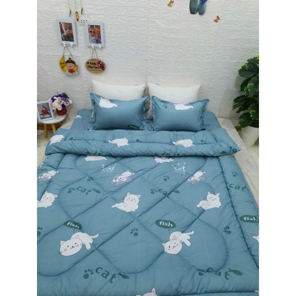 Trọn bộ 5 món ga gối chăn phao poly cotton có ruột bông dày dặn loại 1