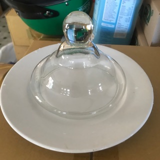 nắp chụp bánh - nắp đậy thức ăn  đường kính 12cm