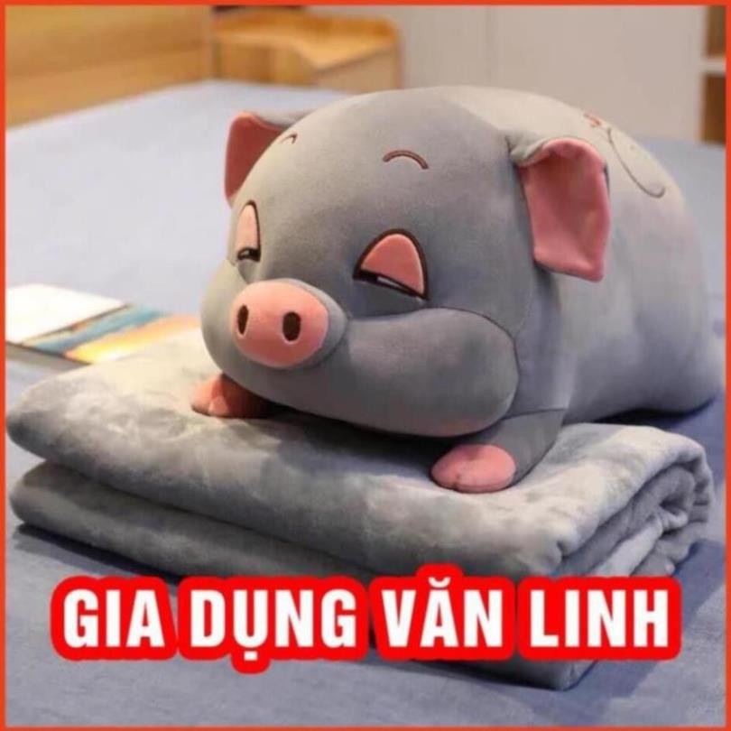 Bộ chăn gối văn phòng hình heo mắt híp