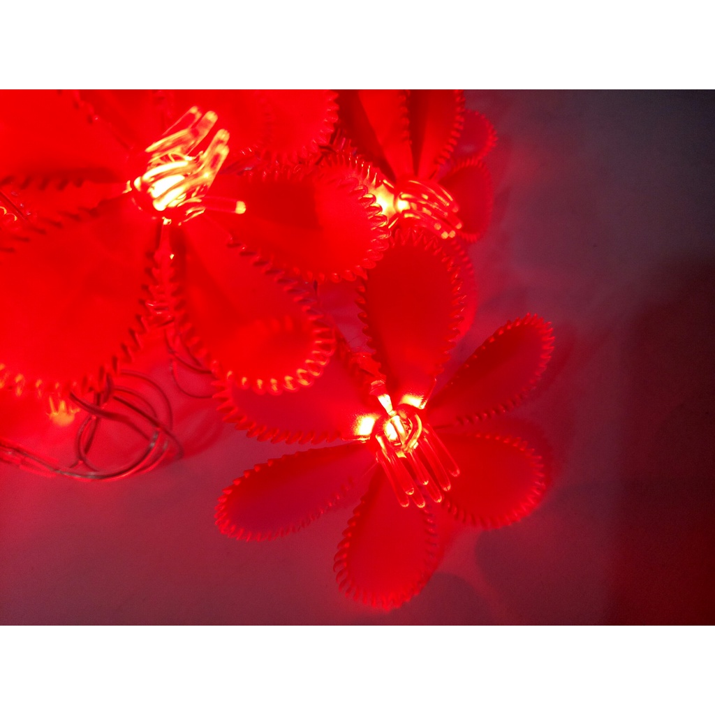 Dây đèn led hoa mai, hoa đào dẻo 4m5 5m 20 bóng trang trí nhà cửa ngày Tết