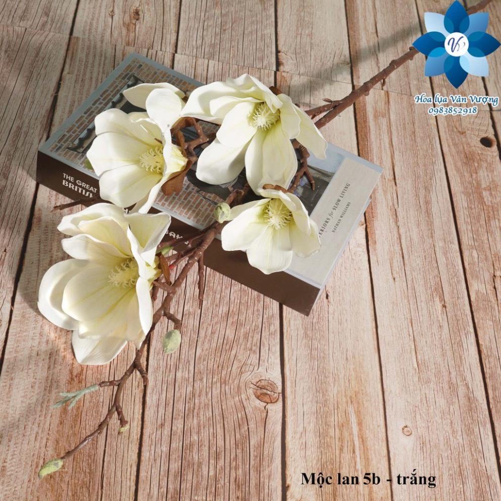 HOA GIẢ - Cành Hoa Mộc Lan 5 Bông